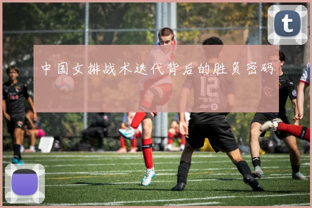中国女排战术迭代背后的胜负密码