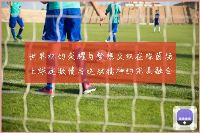 世界杯的荣耀与梦想交织在绿茵场上球迷激情与运动精神的完美融合