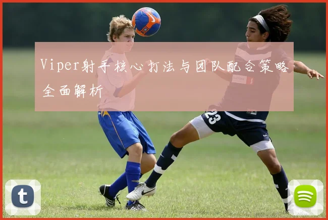 Viper射手核心打法与团队配合策略全面解析