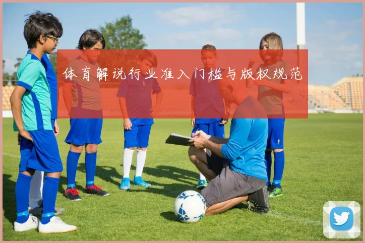 体育解说行业准入门槛与版权规范