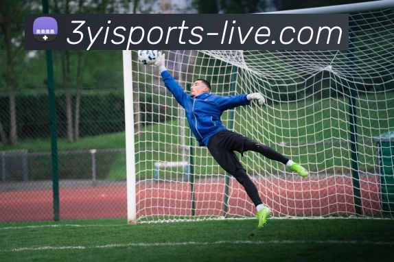 三亿官网APP 封面图